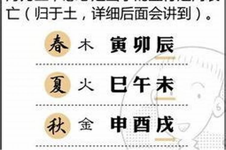 八字算命中已卯是什么意思