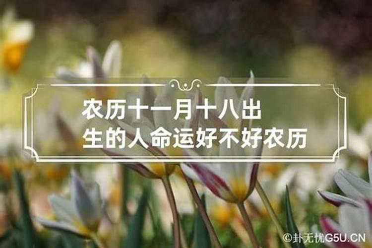 为何八字姻缘应期算不准