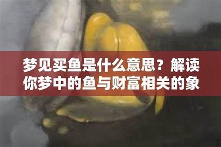 合婚无冲无合的有哪些生肖