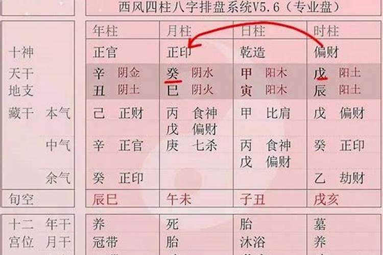 八字排盘中伤官什么意思