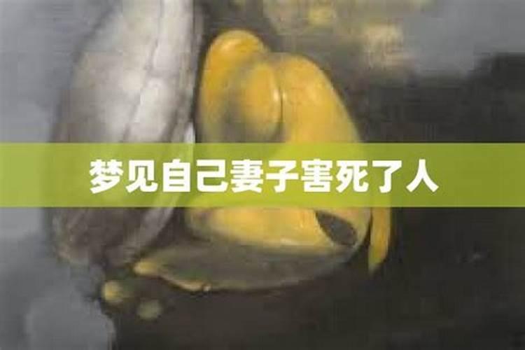 梦见妻子被杀死了是什么意思