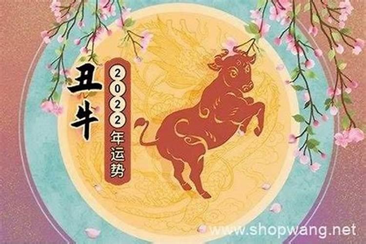 属马农历11月运势如何