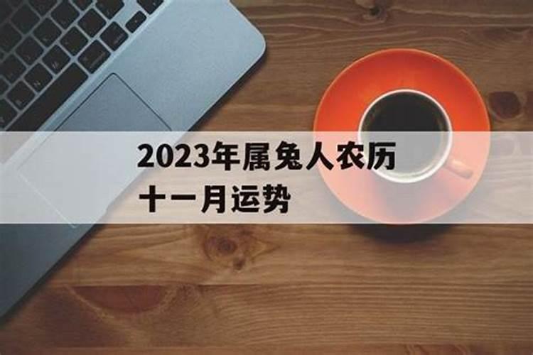 63年属兔农历11月出生的运势如何