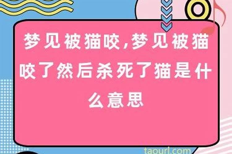 梦到咬猫是什么意思