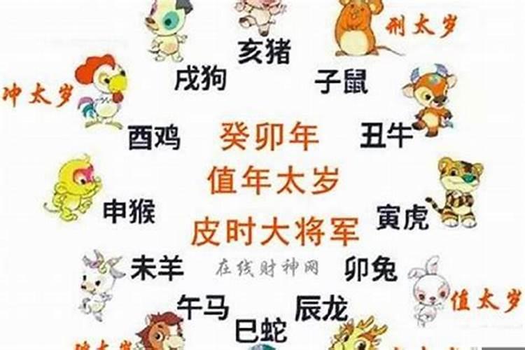 2029犯太岁的4大生肖