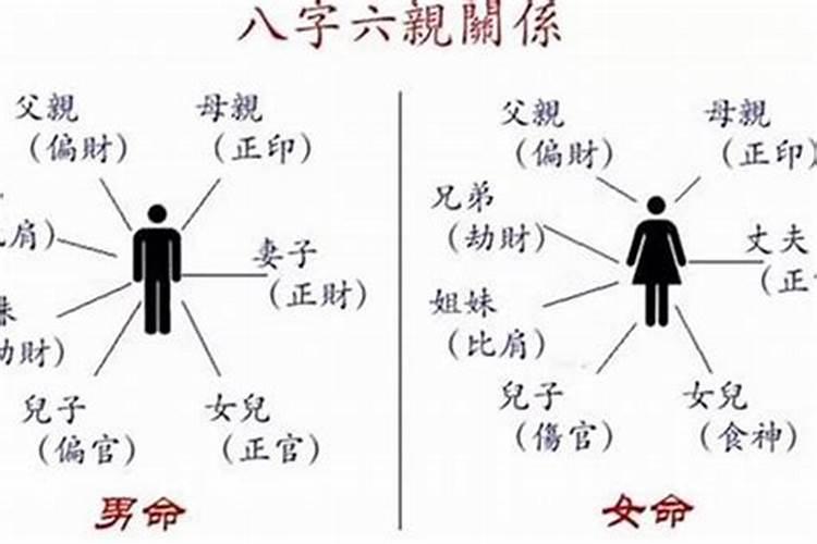 父母子女八字合不合