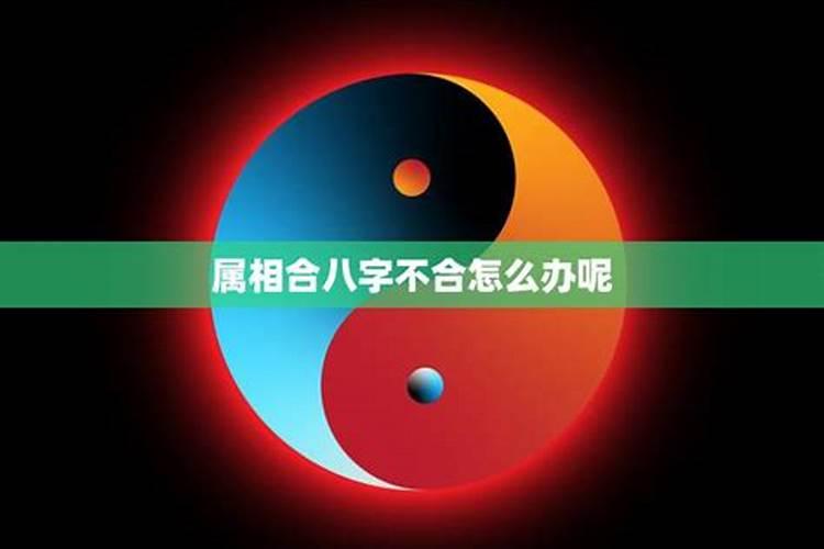 五七年属鸡的2020年的命运怎么样