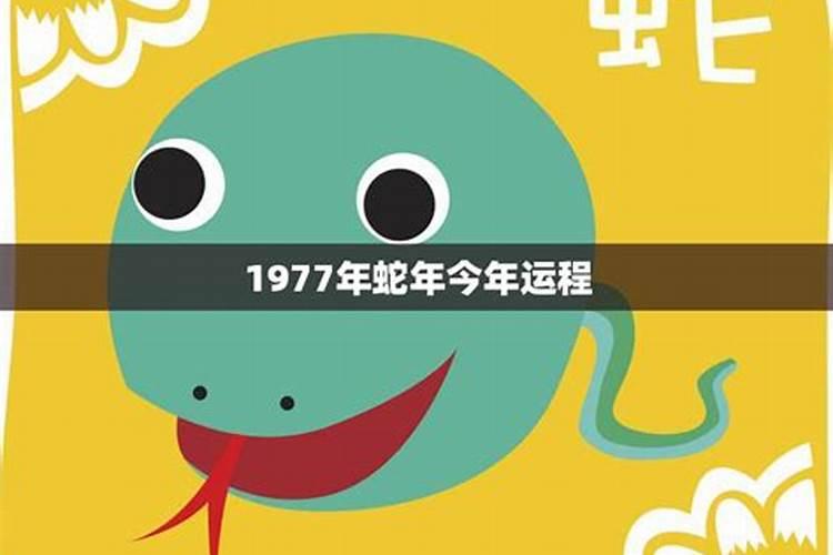 1977属蛇十年运程如何