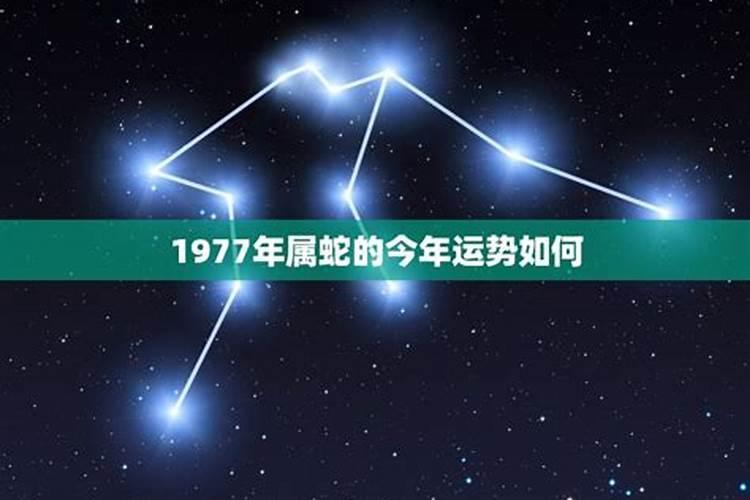 1977属蛇十年运程如何