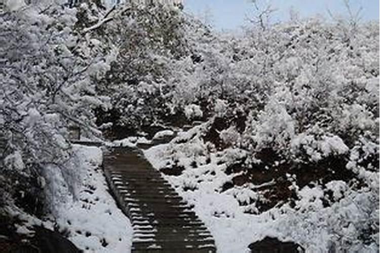 梦到在学校下雪了什么意思