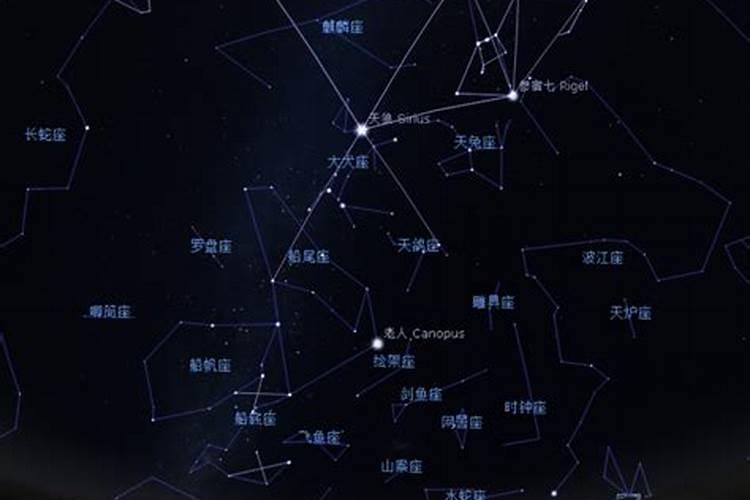 冬天星空最具有代表的星座（猎户星座是射手座吗女生）