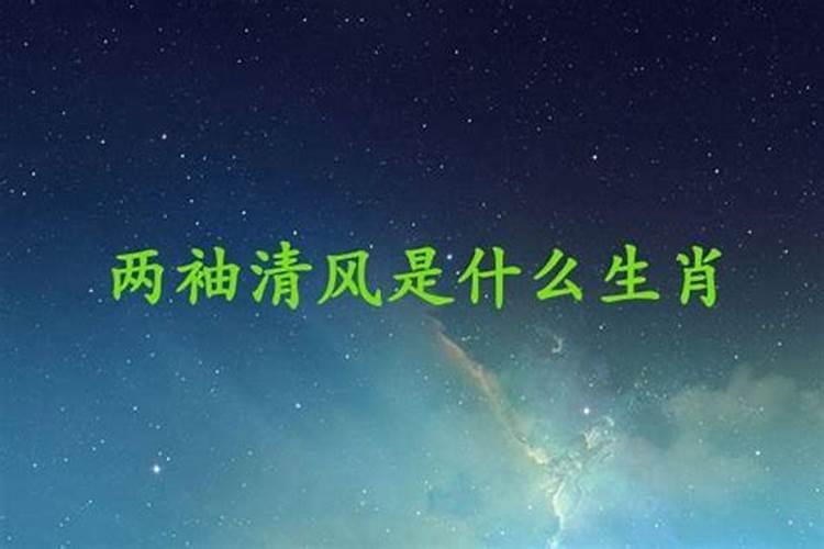 两袖清风是什么生肖 百度网盘？两袖清风的生肖