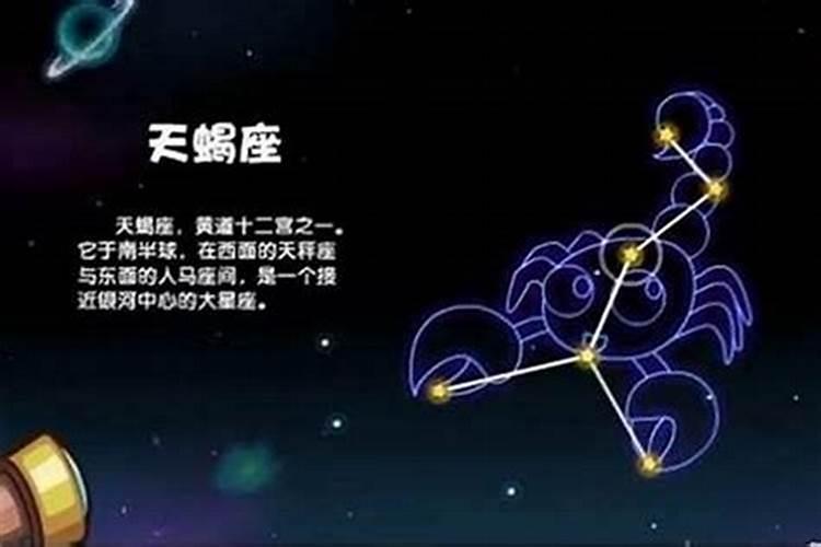 天蝎女最喜欢哪个星座男