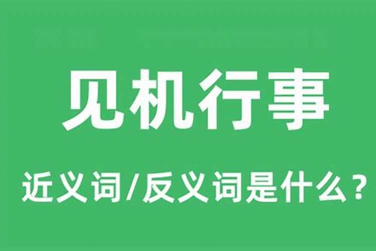 见机行事啥意思？？转危为安的近义词是