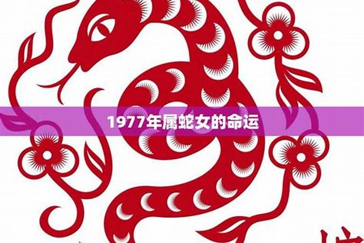 1977年属蛇女吉利数字