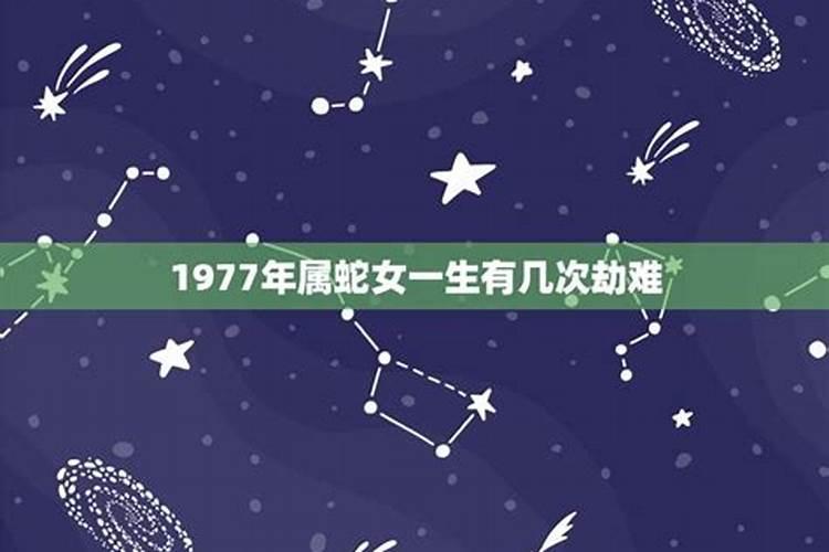 1977年属蛇女的幸运数字