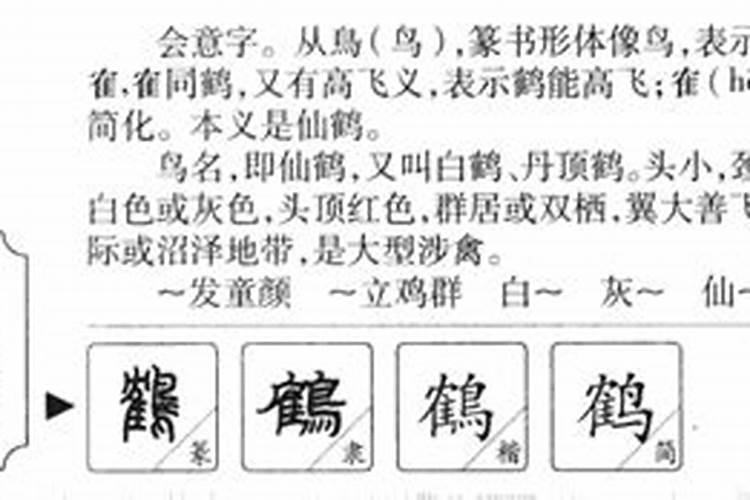 鹤字五行属什么和意义