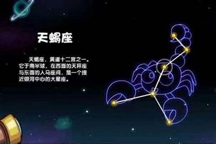 最不会赚钱的星座男生