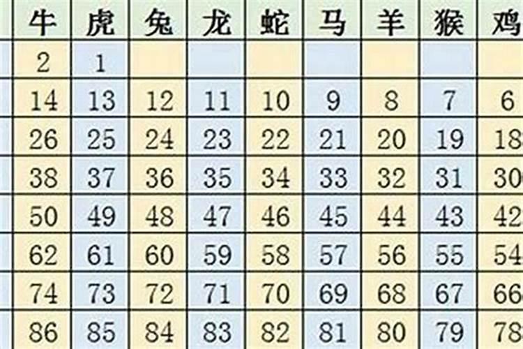 十二生肖昨天开什么号