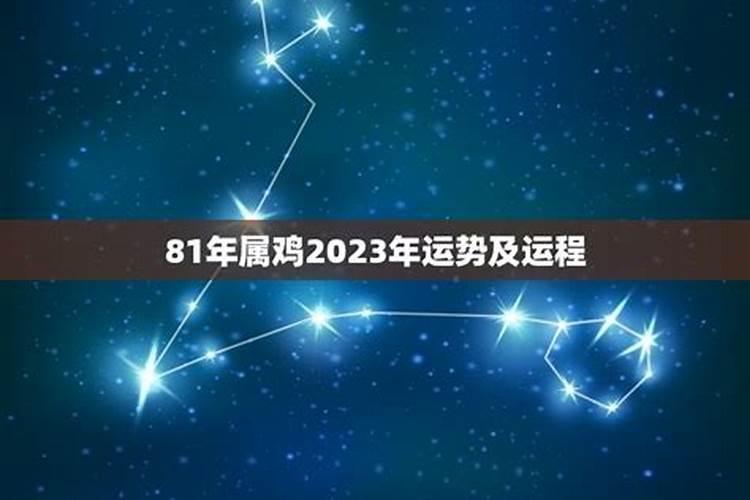 81年属鸡的2023年运势怎样