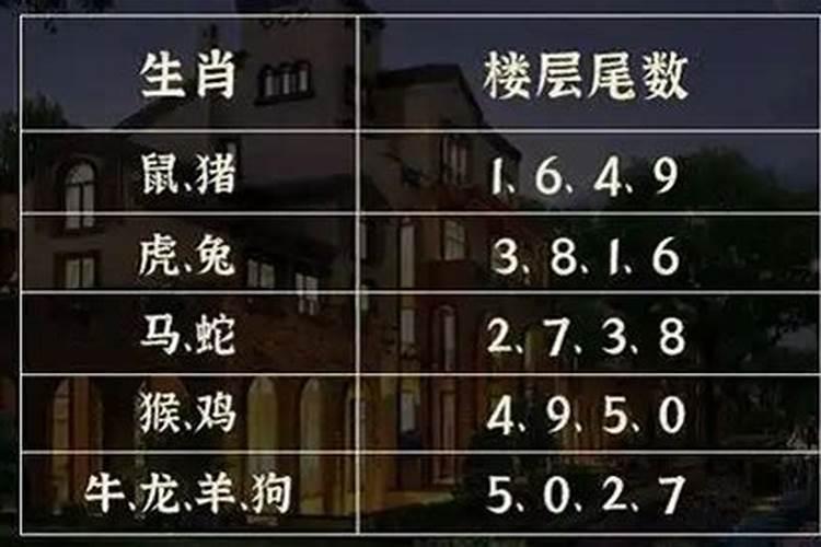 生肖与住宅的楼层相宜