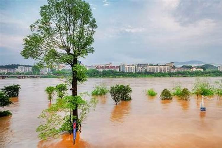 梦见大河涨水然后退去