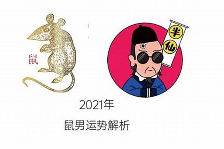 84年的鼠男2021年的全程运势