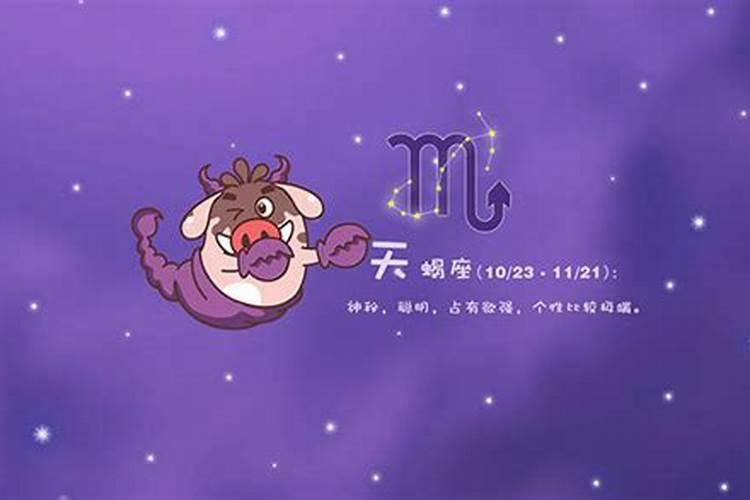 11月的男孩儿什么星座