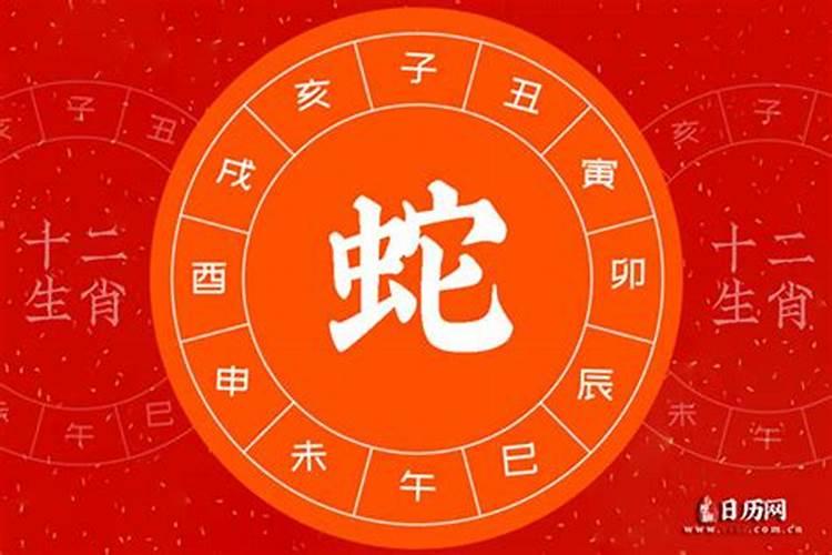 2026是什么生肖年份