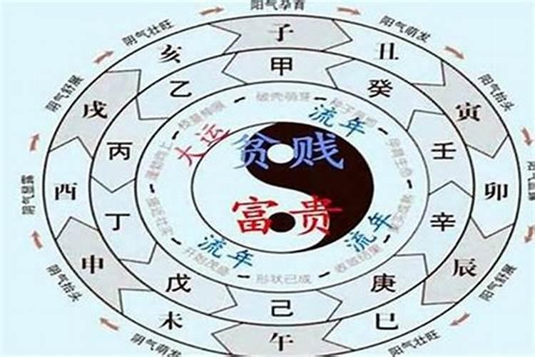 1979年属羊2月是什么命