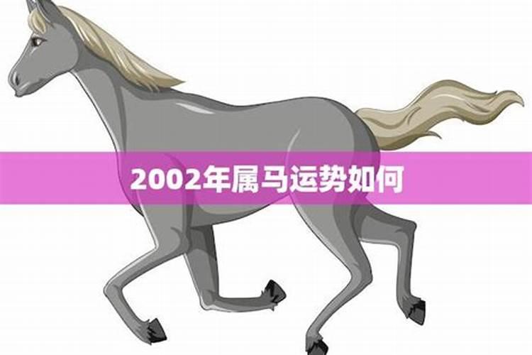 2002年12月出生的马命运如何