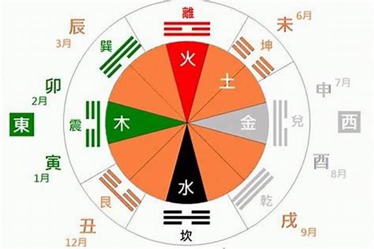 男人指什么生肖最好