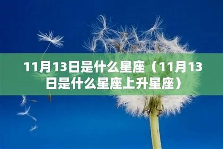 11月13日是什么星座的阴历