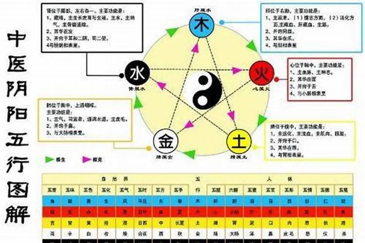 五行属金水的行业有哪些