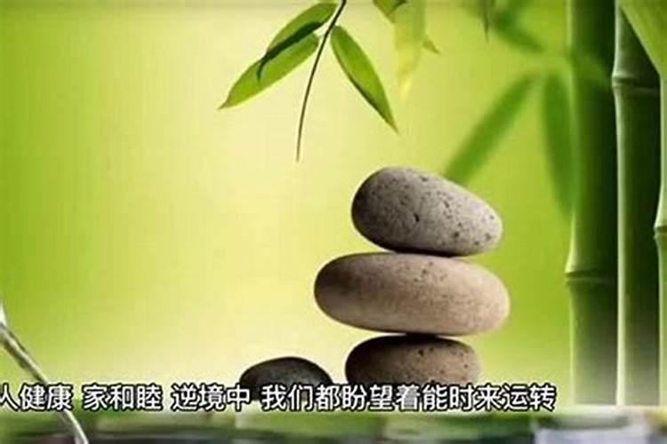 坏运气是什么鬼生肖