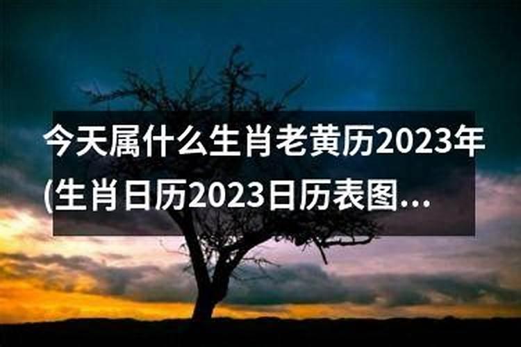 后天属什么生肖老黄历2022