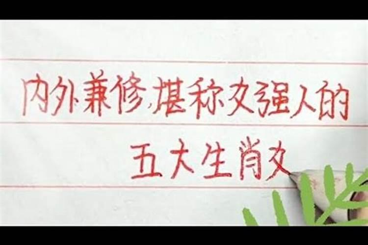 女中豪杰打生肖数字