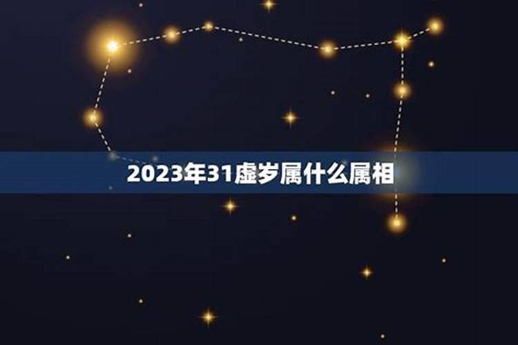 2021年虚岁31岁属什么