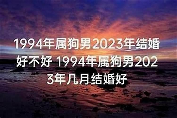 94年5月的狗2023年运势