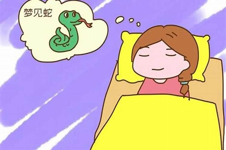 梦见两只乌龟有什么预兆解梦女性