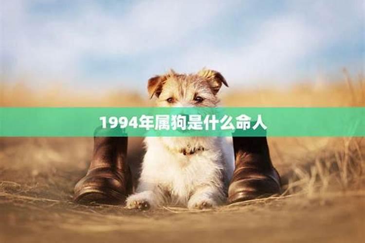 1994年属狗是什么命2022年运势