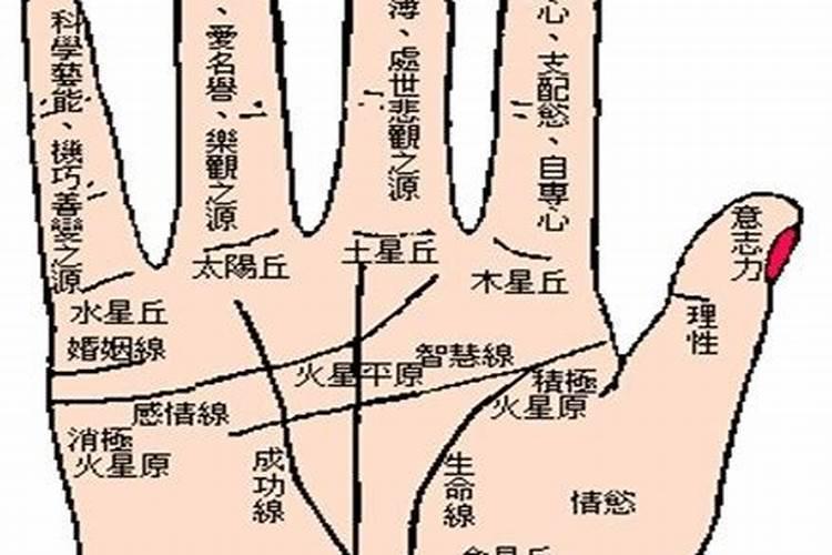 四柱八字基础知识入门汇总