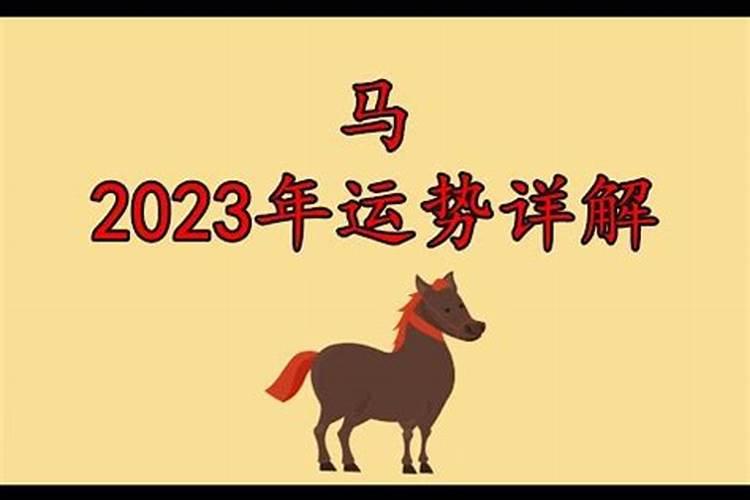 生肖马2023年的运势详解