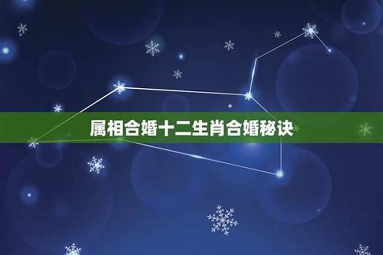 今年属猴人运气怎么样