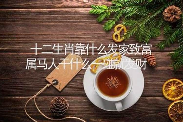 十二生肖靠什么赚钱的