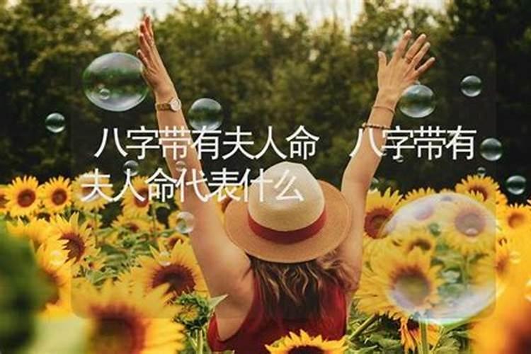 夫人命中带桃花是什么生肖动物