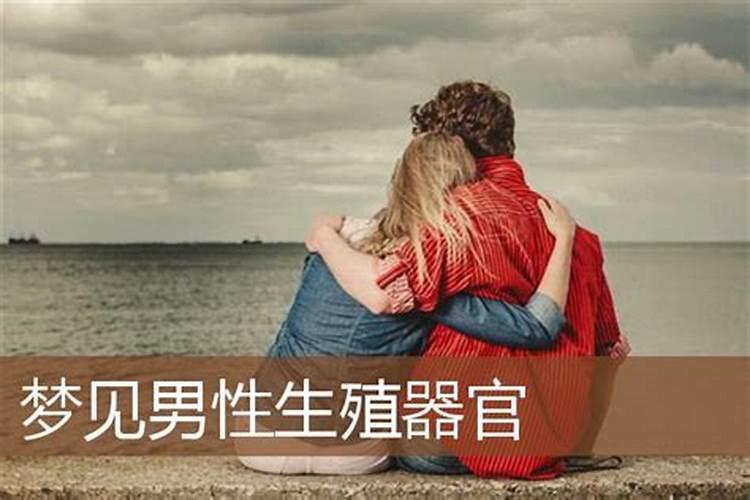 孕妇梦见男性生殖很大