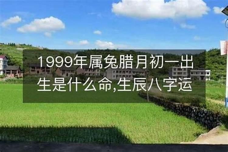 1999年腊月出生的属兔女人什么命运