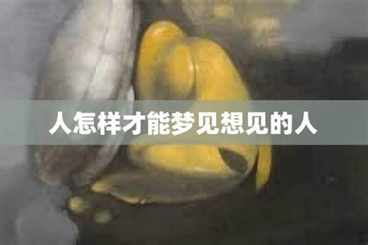 怎样才能梦见想梦到的人在一起