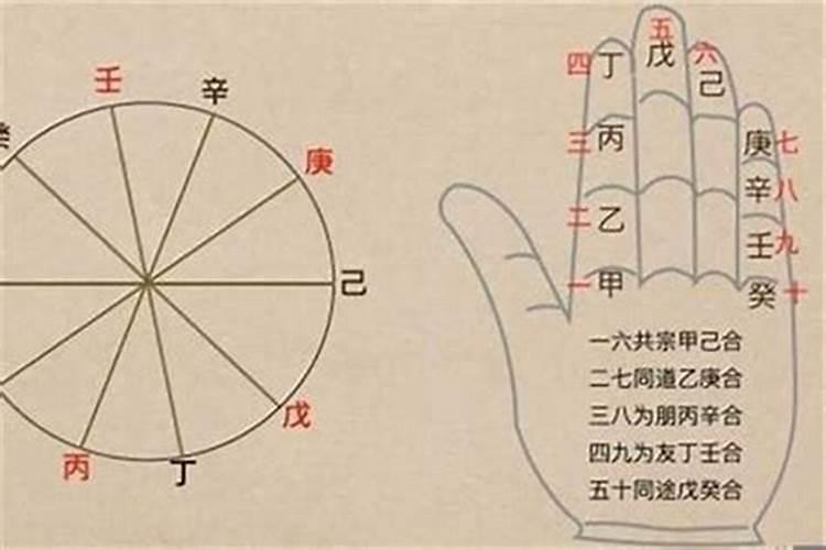 八字算命是算哪方面内容的